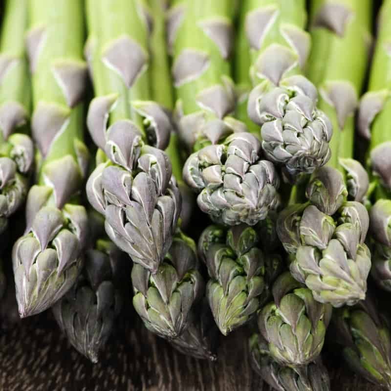 Farm-to-table-51